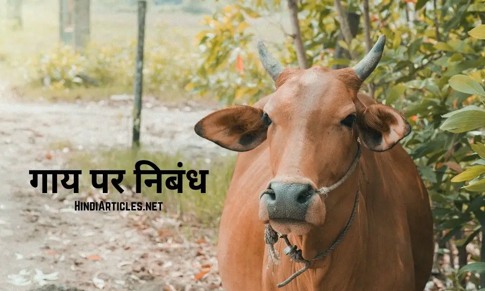 गाय पर निबंध हिंदी में (Essay On Cow In Hindi Language)