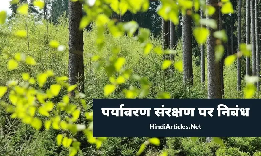 पर्यावरण संरक्षण पर निबंध (Paryavaran Sanrakshan Essay In Hindi)