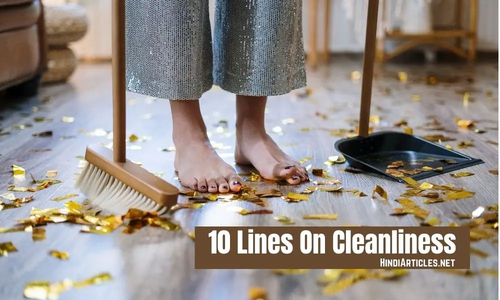 10 Lines On Cleanliness In Hindi And English Language