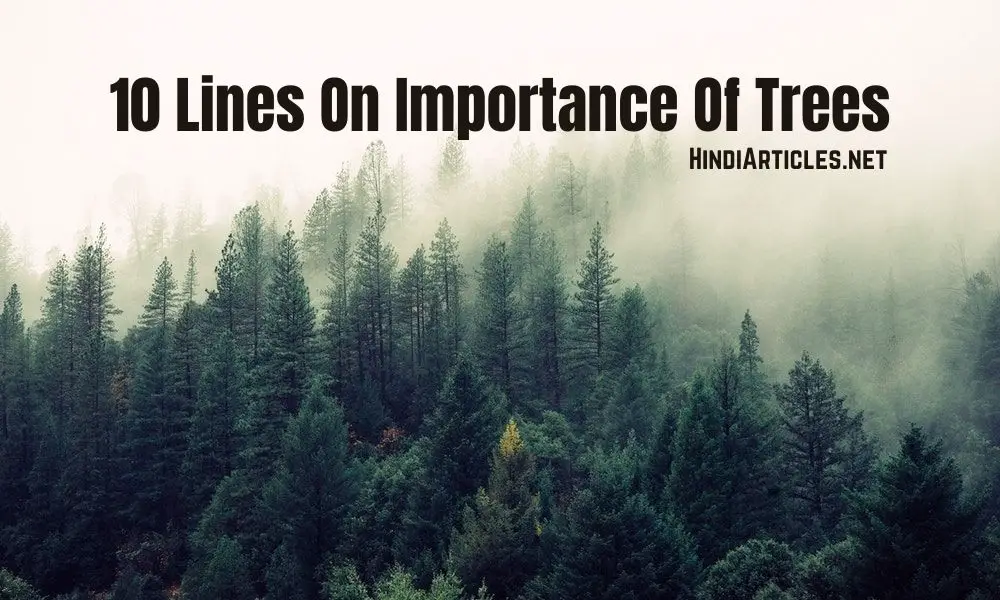 10 Lines On Importance Of Trees In Hindi And English Language