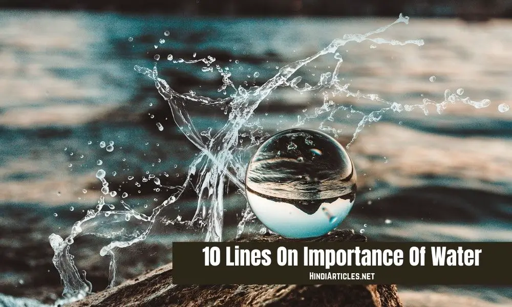 10 Lines On Importance Of Water In Hindi And English Language