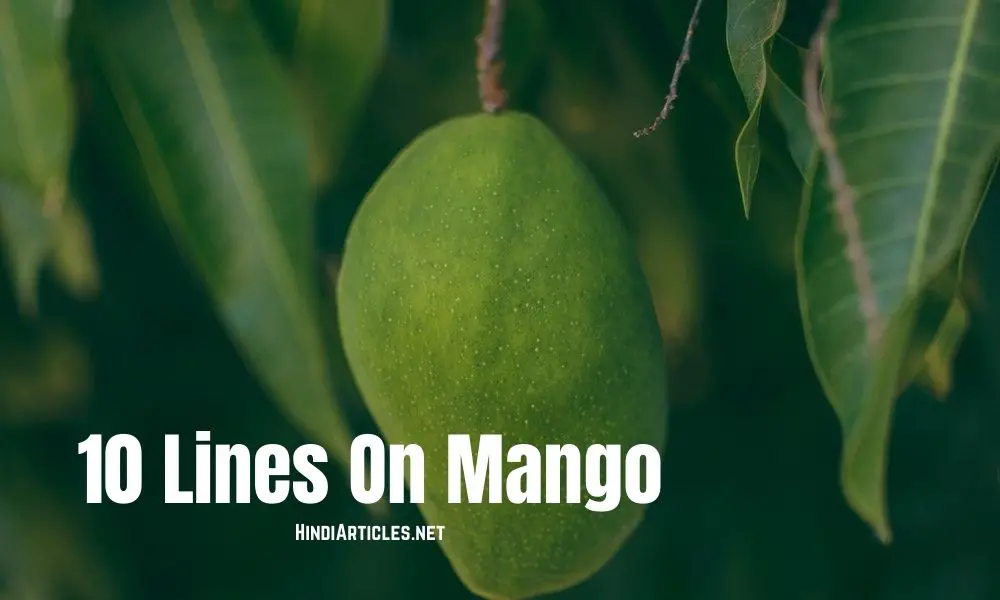 10 Lines On Mango In Hindi And English Language