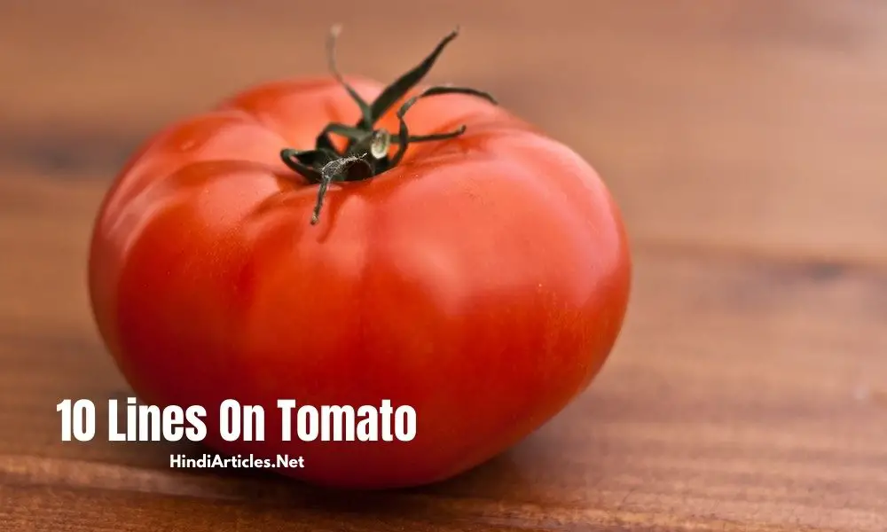 10 Lines On Tomato In Hindi And English Language