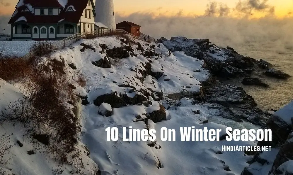 10 Lines On Winter Season In Hindi And English Language