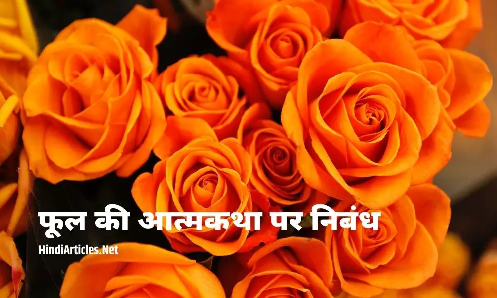 एक फूल की आत्मकथा पर निबंध (Autobiography Of Flower Essay In Hindi)