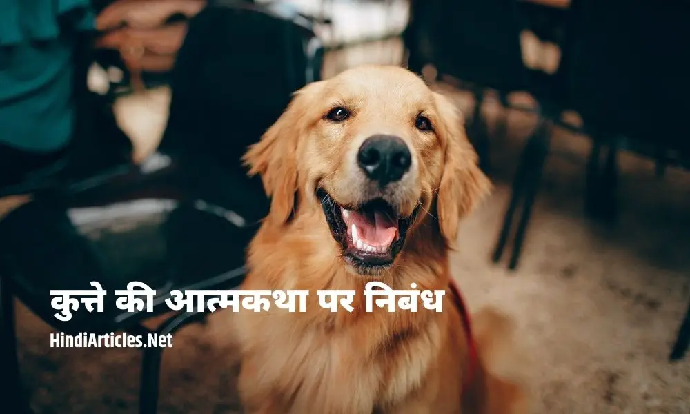 कुत्ते की आत्मकथा पर निबंध (Autobiography Of Dog Essay In Hindi)