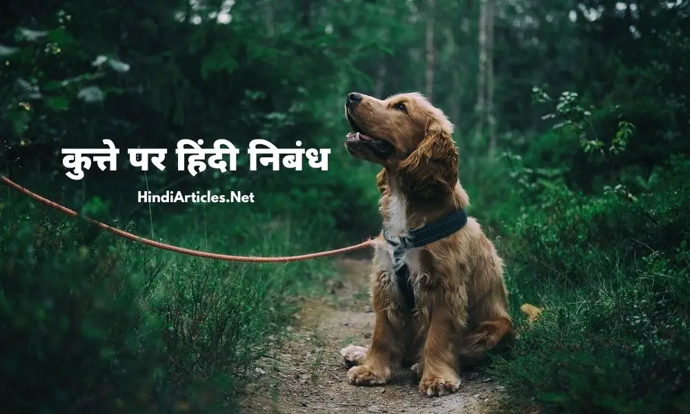 कुत्ते पर हिंदी निबंध (Essay On Dog In Hindi Language)