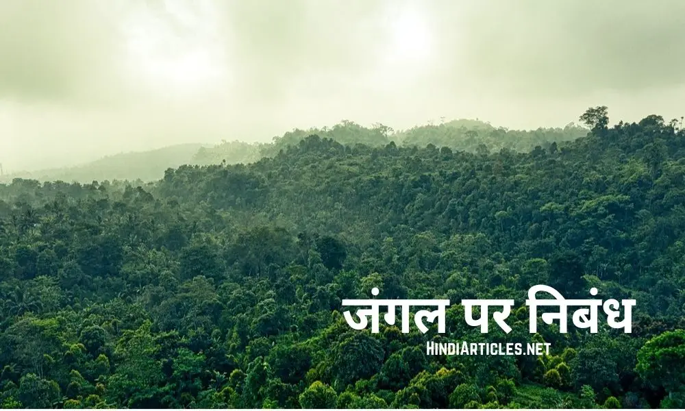 जंगल पर निबंध (Essay On Jungle In Hindi Language)