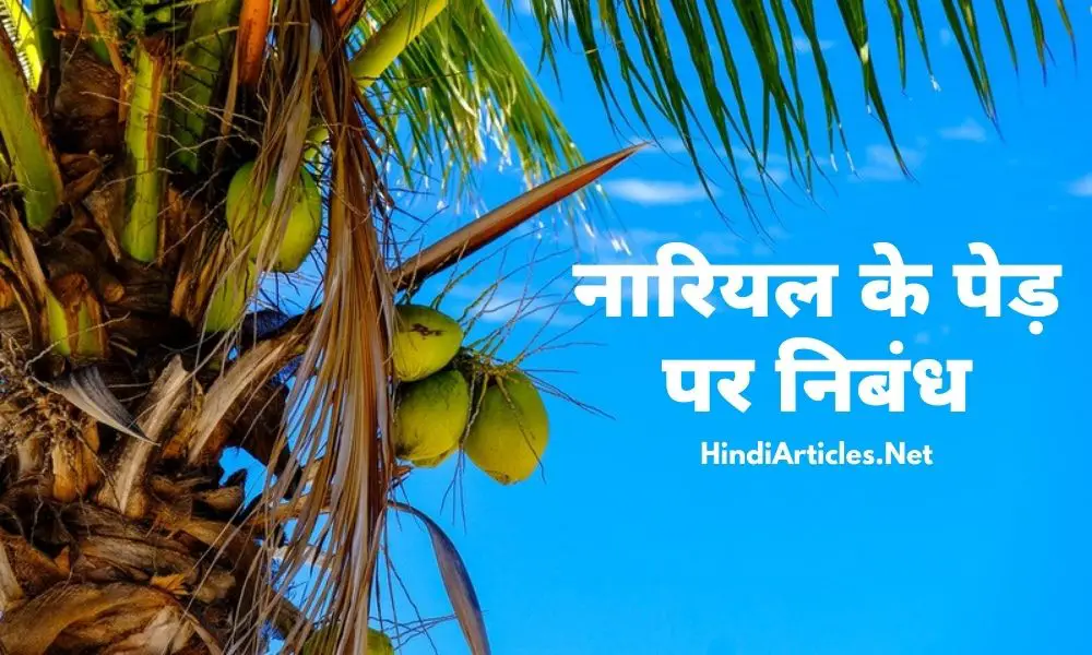 नारियल के पेड़ पर निबंध (Coconut Tree Essay In Hindi)