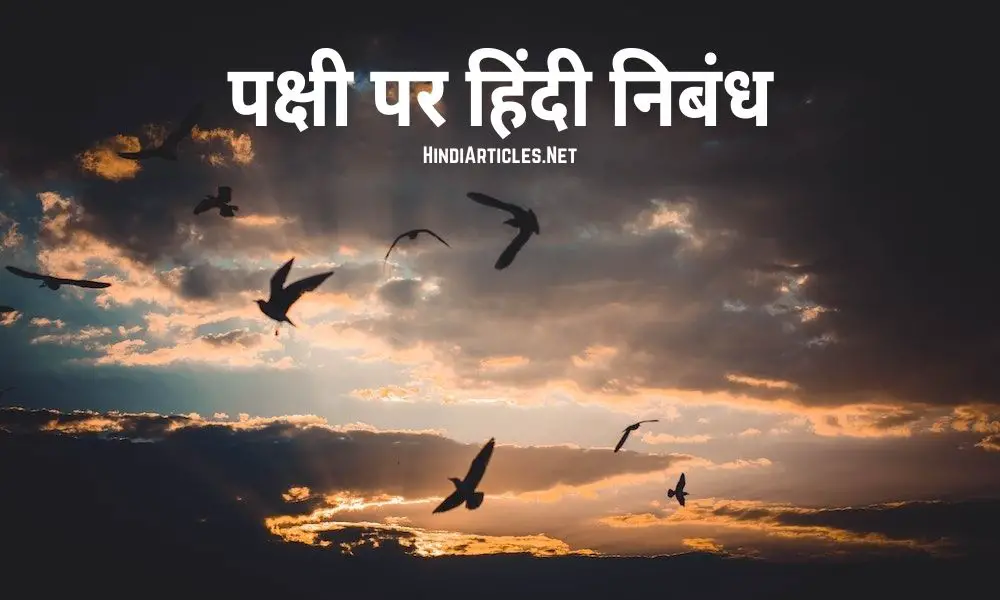 पक्षी पर निबंध (Birds Essay In Hindi Language)