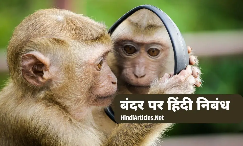 बंदर पर हिंदी निबंध (Monkey Essay In Hindi Language)