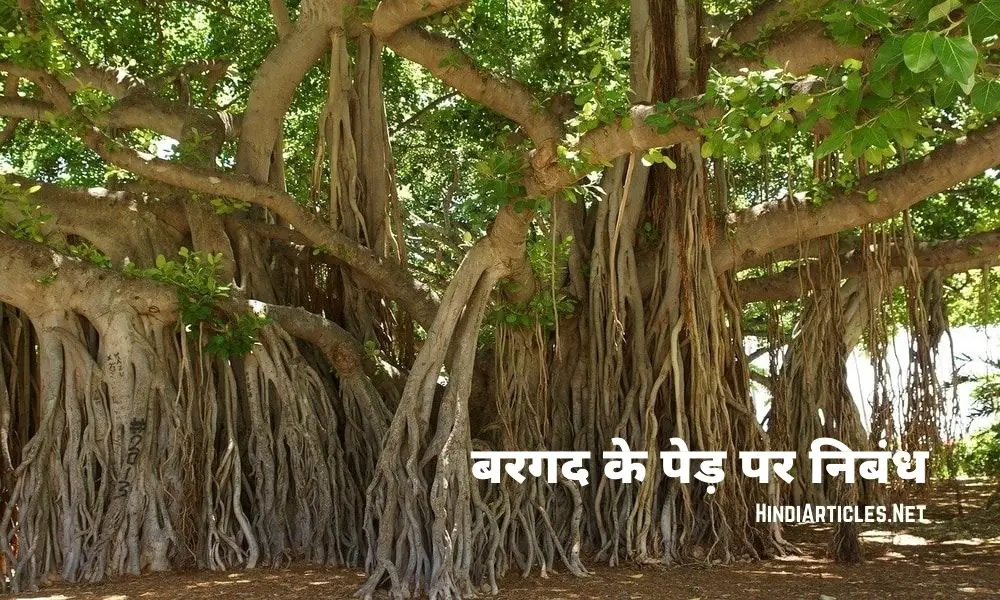 बरगद के पेड़ पर निबंध (Banyan Tree Essay In Hindi)