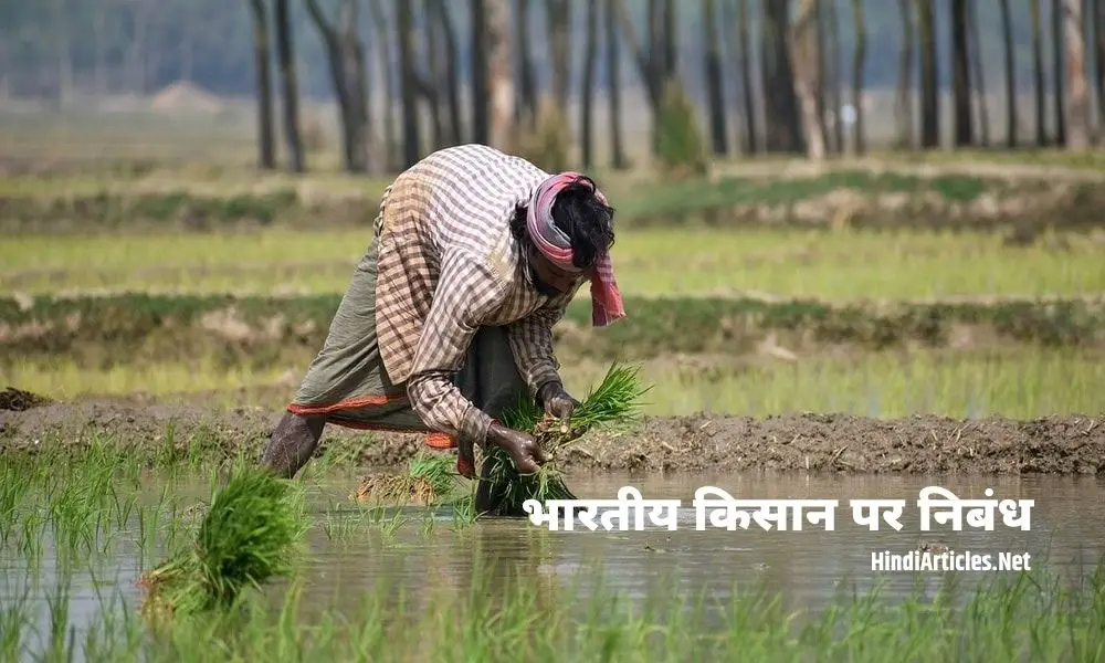 भारतीय किसान पर निबंध (Indian Farmer Essay In Hindi Language)