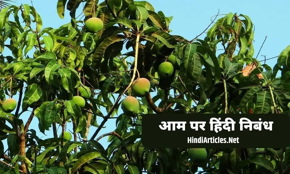 मेरा पसंदीदा फल आम पर निबंध (My Favourite Fruit Mango Essay In Hindi)