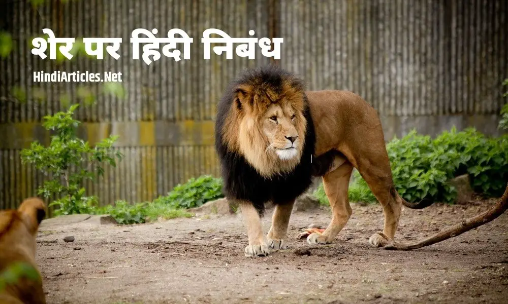 शेर पर हिंदी निबंध (Lion Essay In Hindi Language)