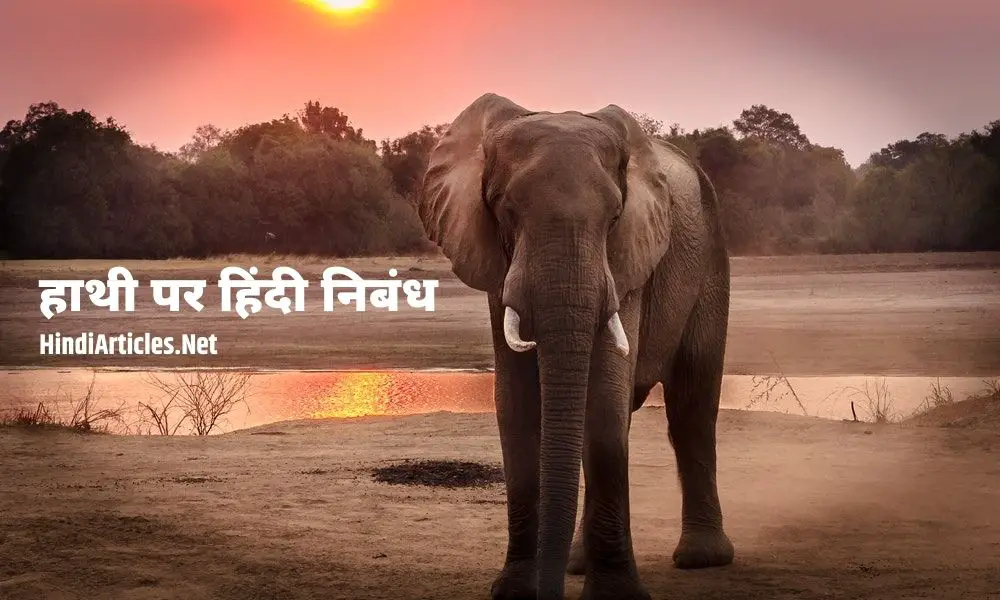 हाथी पर हिंदी निबंध (Elephant Essay In Hindi Language)