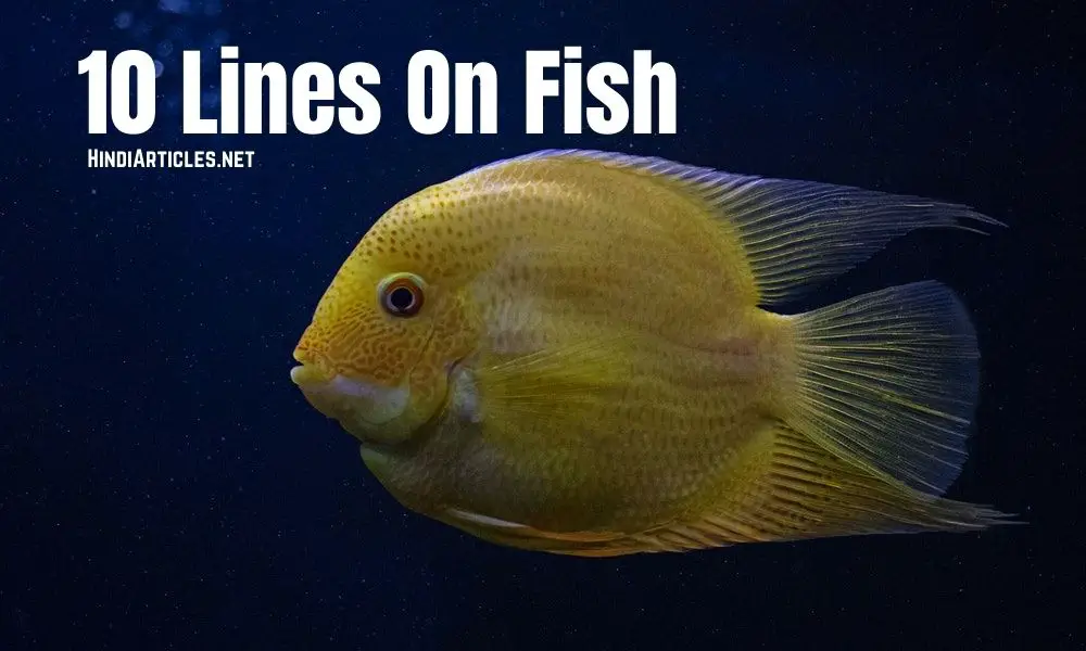 10 Lines On Fish In Hindi And English Language