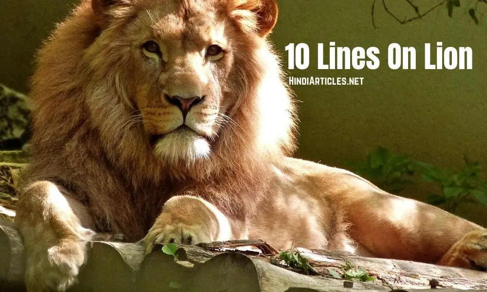 10 Lines On Lion In Hindi And English Language