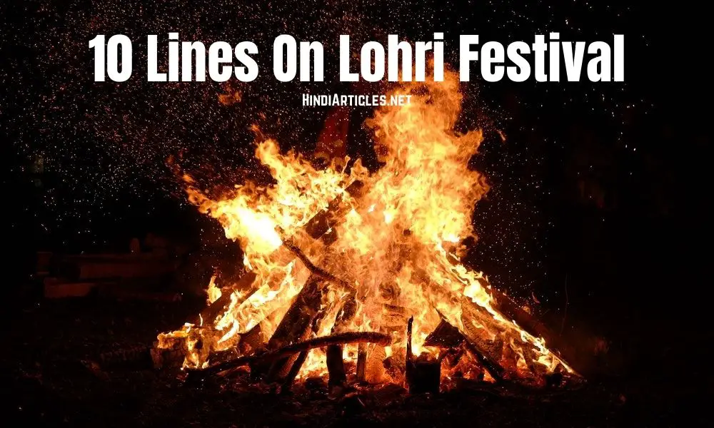 10 Lines On Lohri Festival In Hindi And English Language