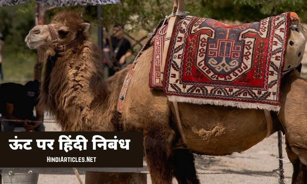 ऊंट पर निबंध (Essay On Camel In Hindi)